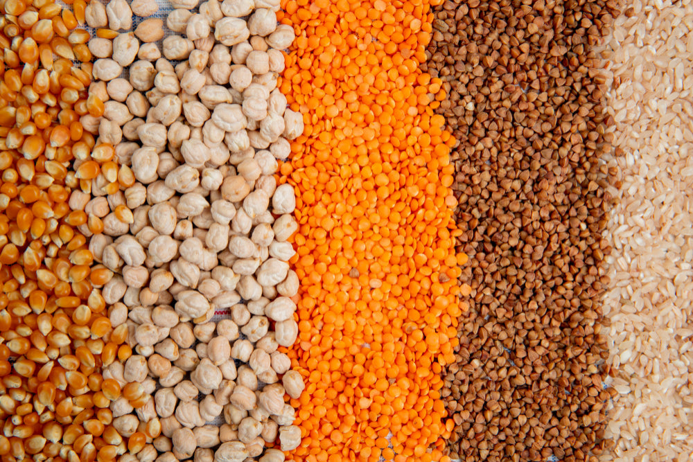 6 Best Gluten Free Grains