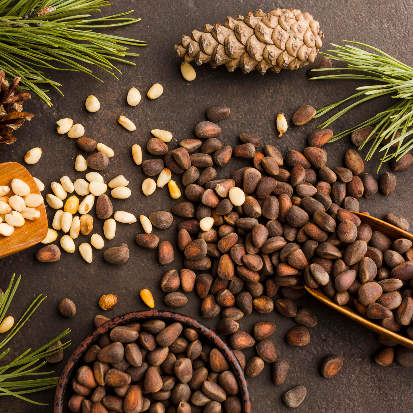 Pine Nuts: Taste and Nutrition