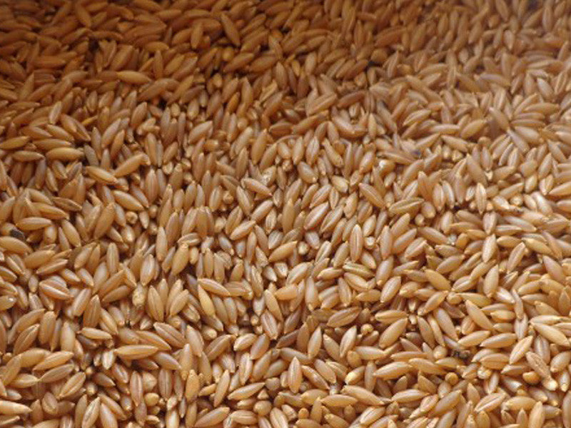 Organic Bamboo Rice.