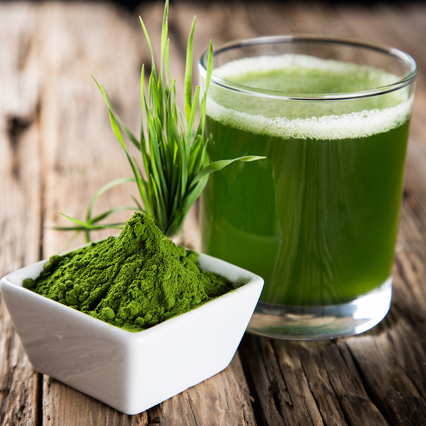 Organic Barley Grass Powder.