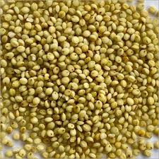 Organic Browntop Millet Flour.