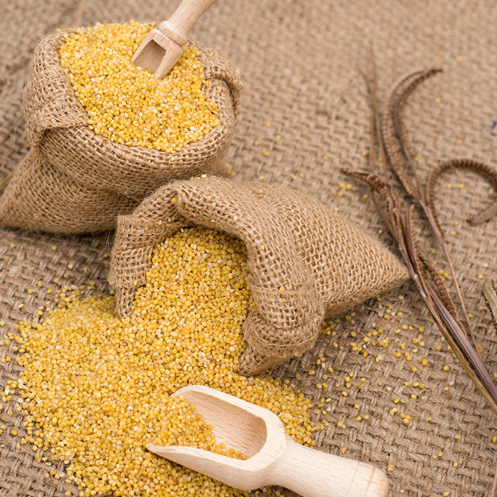 Foxtail Millet / Navane.