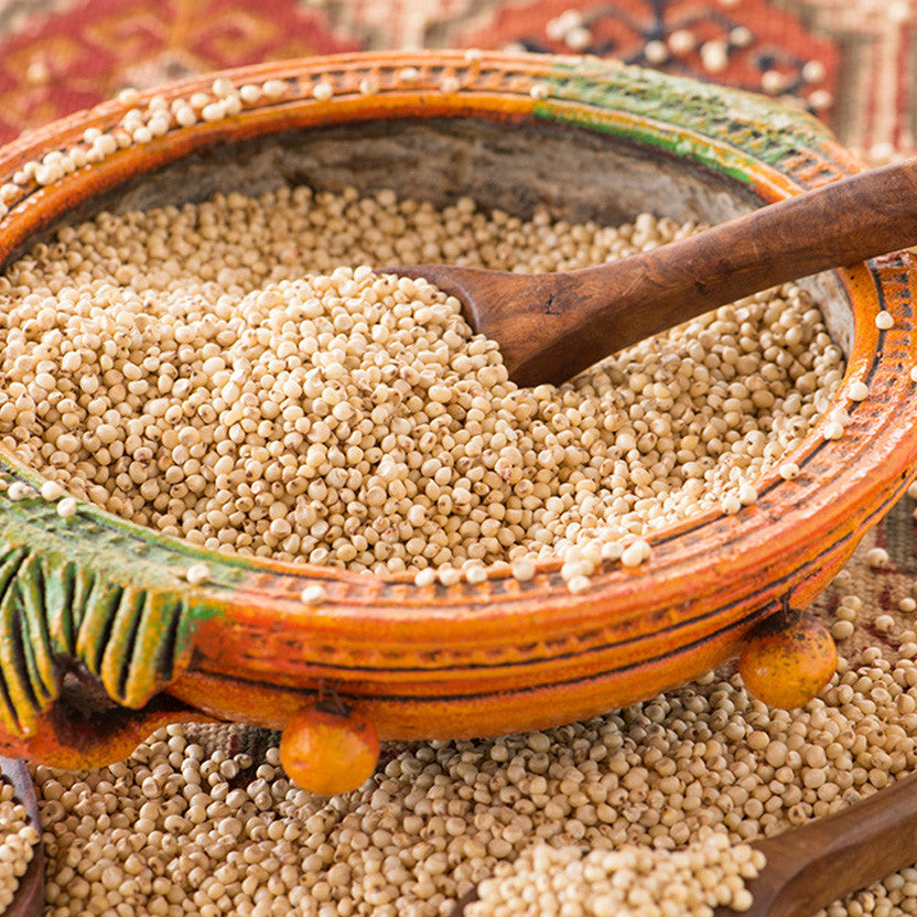 Sorghum Millet/ Jowar.