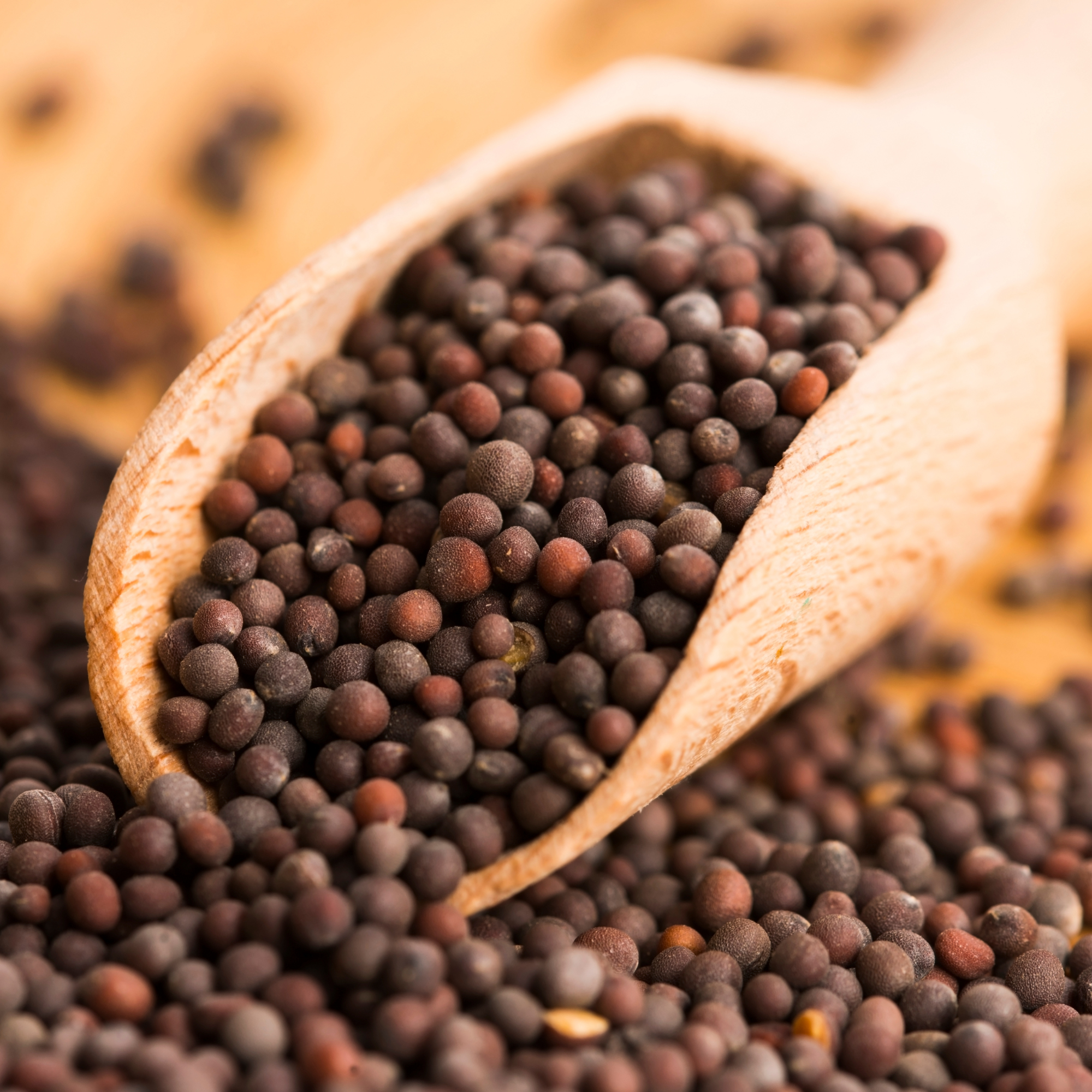 Nutty Yogi Organic Mustard Seeds 100gm