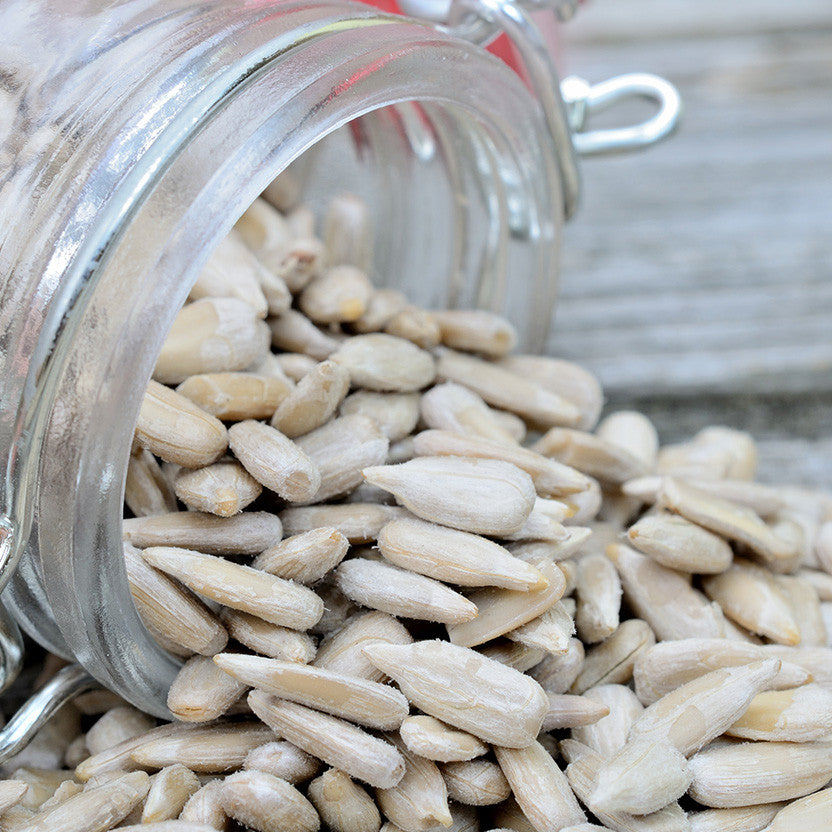 Salted Sunflower Seeds.