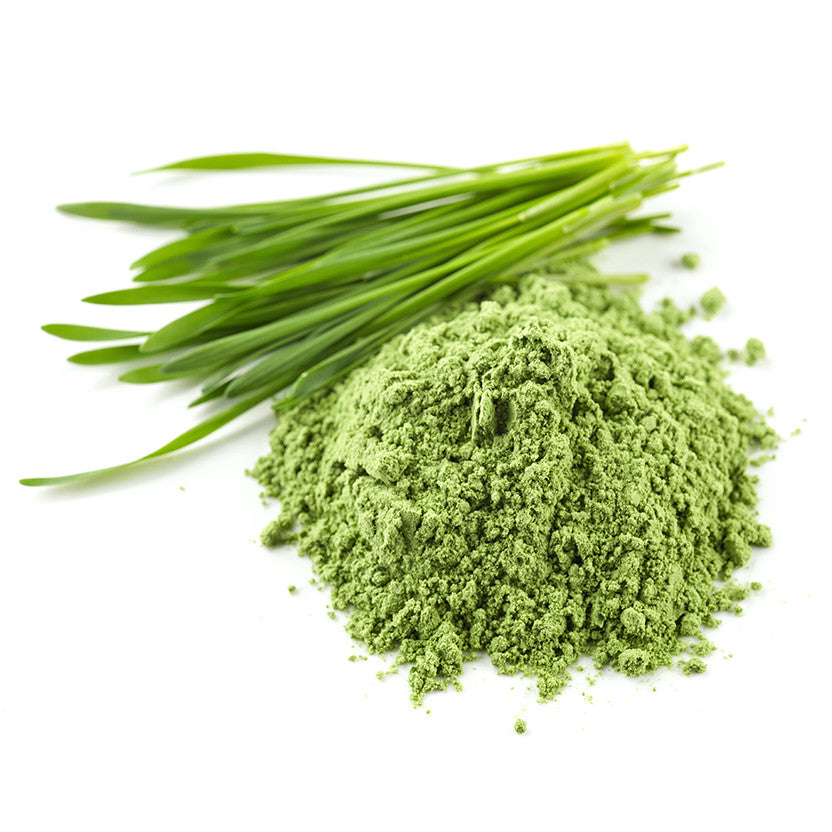 Wheat Grass Powder.