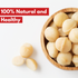 Nutty Yogi Australian Macadamia Nuts 100g (pack of 1)