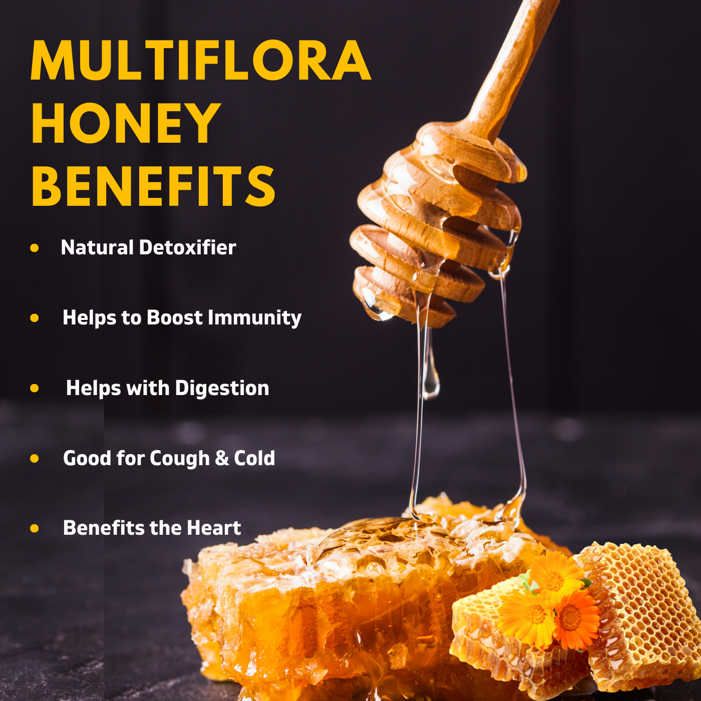 Nutty Yogi Multiflora Dark Honey 500gm