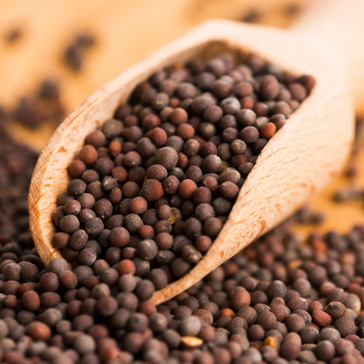 Buy Buy Black Mustard Seeds Online Online - Nutty Yogi